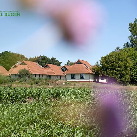 Jugendtours-Feriendorf Ummanz Екстериор снимка